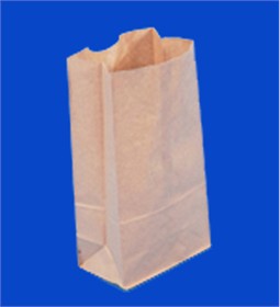 Brown Paper Bags 4lb 500ct