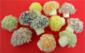 Coconut Fruit Mushrooms 21oz