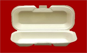Foam Hot Dog Container 125ct