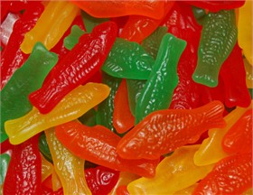 Gummi Assorted Fish Mini 20oz